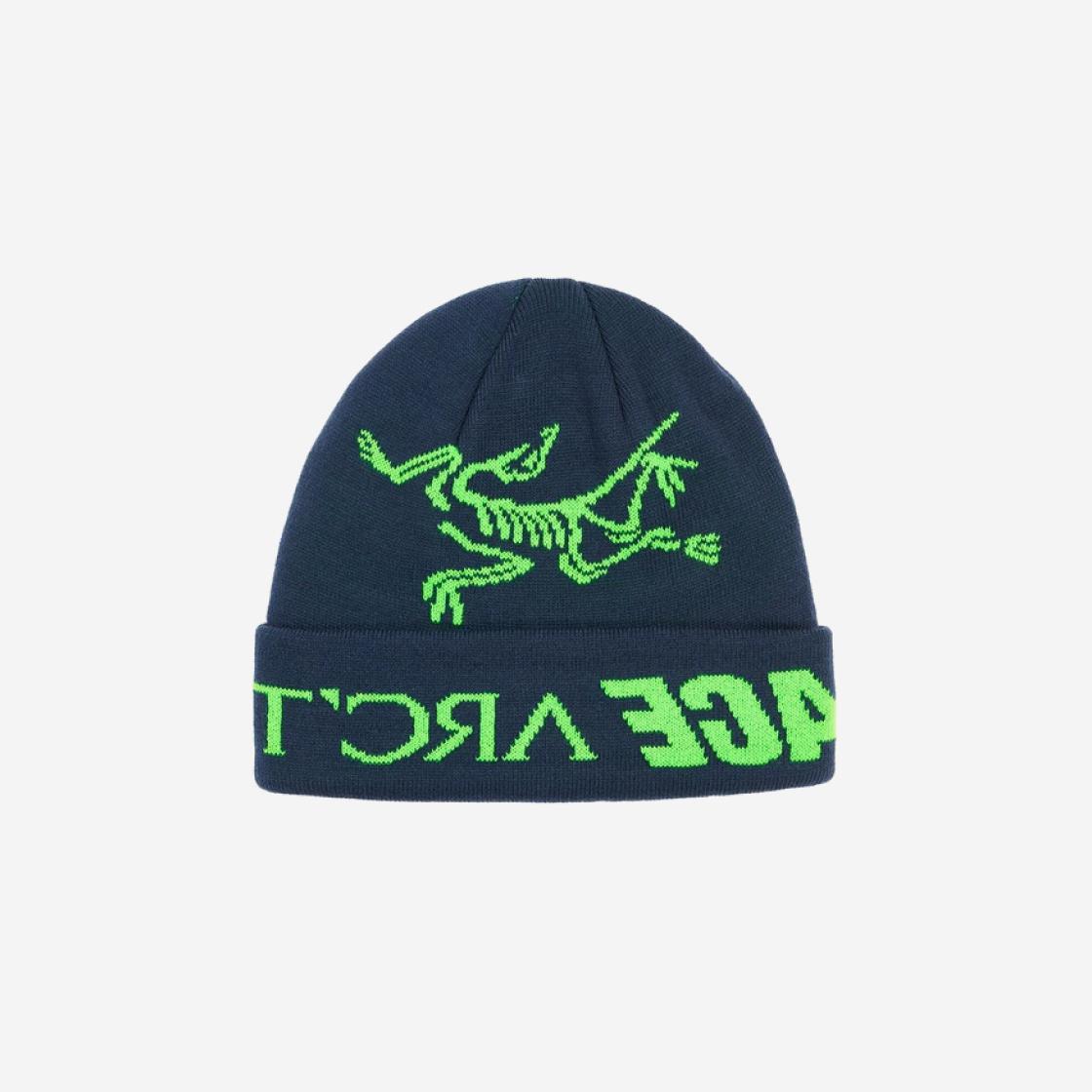 palace x arcteryx beanie
